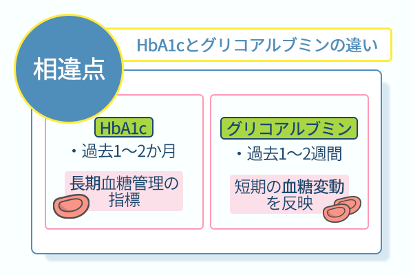 HbA1cとグリコアルブミンの違い