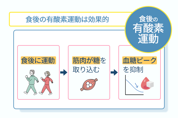 食後の有酸素運動は効果的