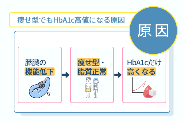 痩せ型でもHbA1c高値になる原因
