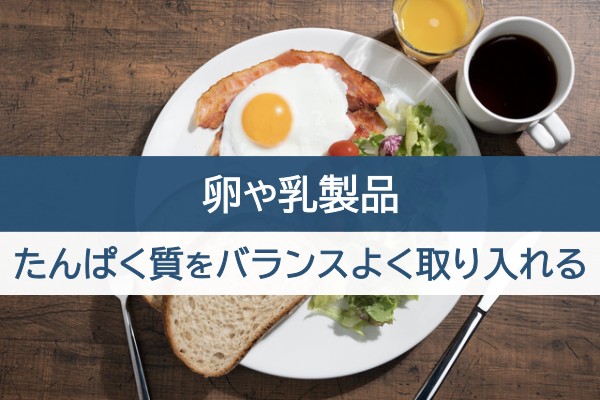 卵や乳製品。たんぱく質をバランスよく取り入れる