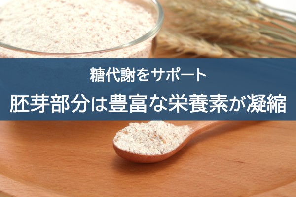 糖代謝をサポート。胚芽部分は豊富な栄養素が凝縮