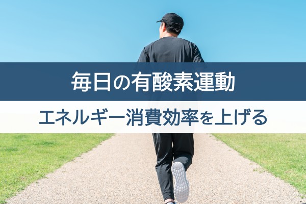 毎日の有酸素運動。エネルギー消費効率をあげる
