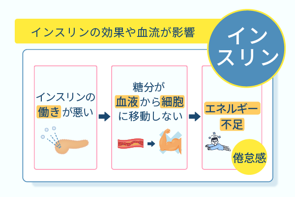 インスリンの効果や血流が影響