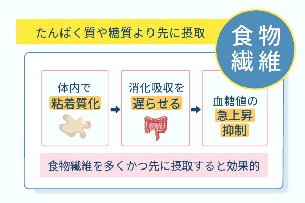 たんぱく質や糖質より先に摂取