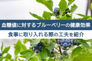 血糖値に対するブルーベリーの健康効果。食事に取り入れる際の工夫を紹介