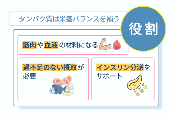 タンパク質は栄養バランスを補う