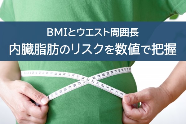 BMIとウエスト周囲長。内臓脂肪のリスクを数値で把握