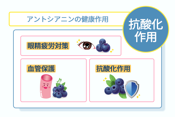 アントシアニンの健康作用