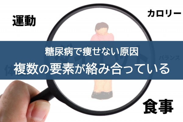 糖尿病で痩せない原因。複数の要素が絡み合っている