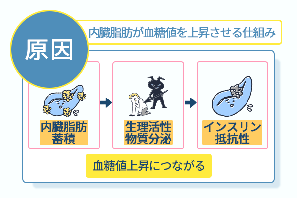 内臓脂肪が血糖値を上昇させる仕組み