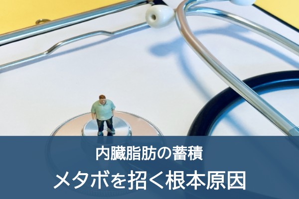 内臓脂肪の蓄積。メタボを招く根本原因