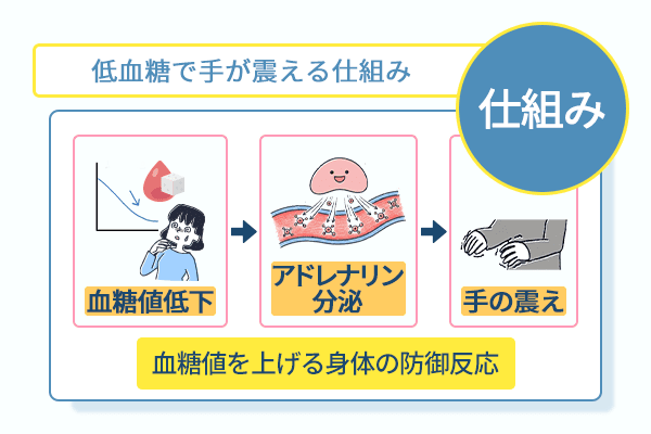 低血糖で手が震える仕組み