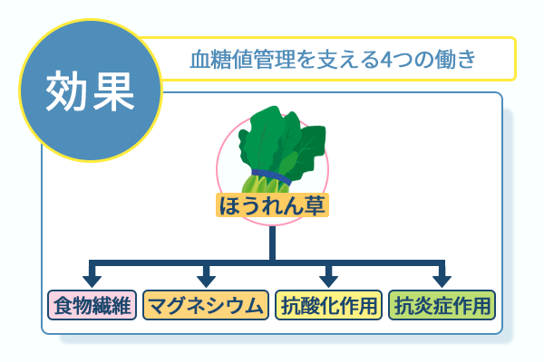血糖値管理を支える４つの働き