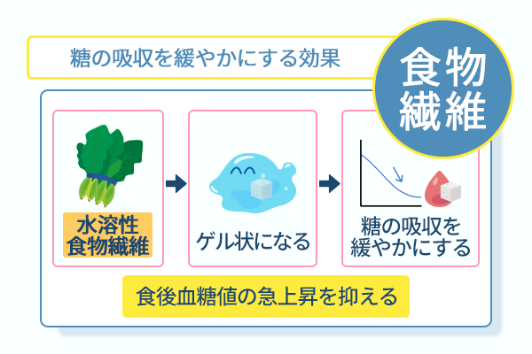 糖の吸収を緩やかにする効果