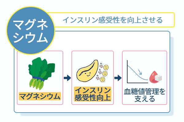 インスリン感受性を向上させる