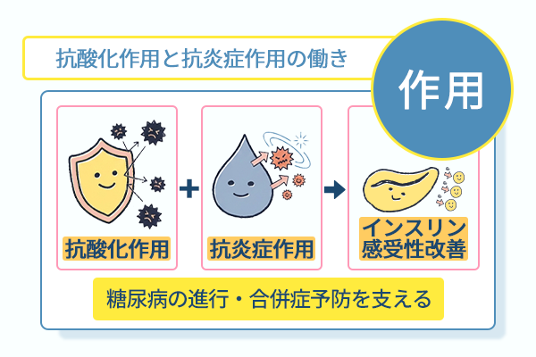 抗酸化作用と抗炎症作用の働き