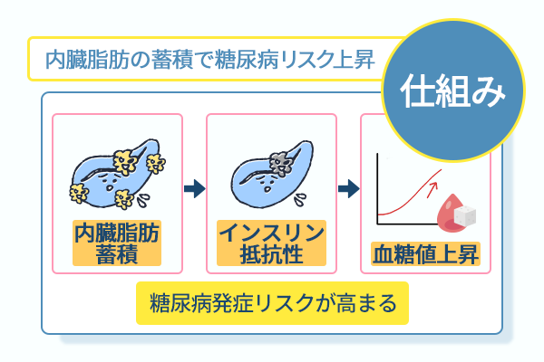 内臓脂肪の蓄積で糖尿病リスク上昇