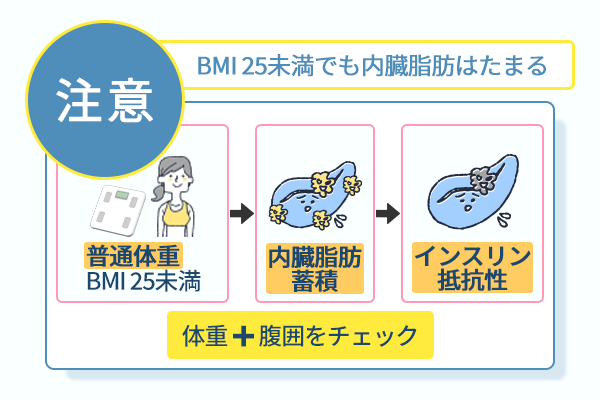 BMI25未満でも内臓脂肪はたまる