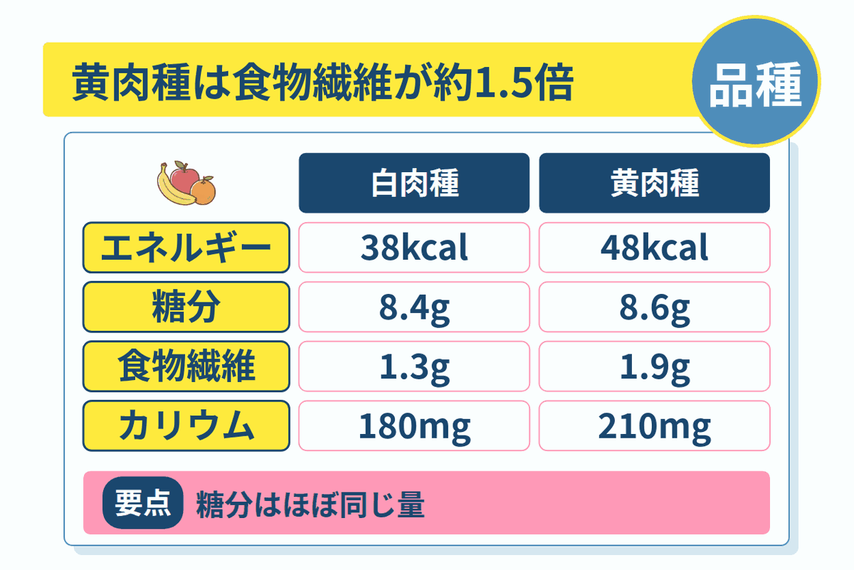 黄肉種は食物繊維が約1.5倍